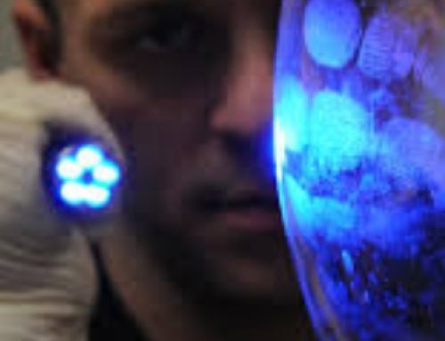 The Role of UV Flashlights in Crime Scene Investigation