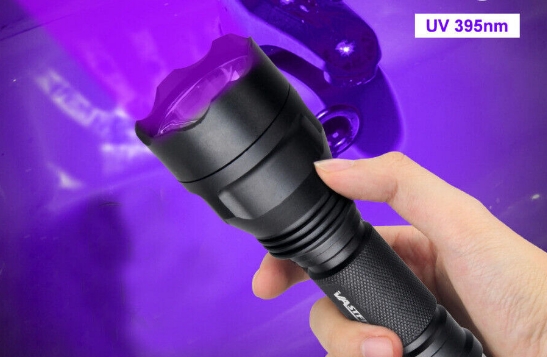 A 395nm flashlight might not work