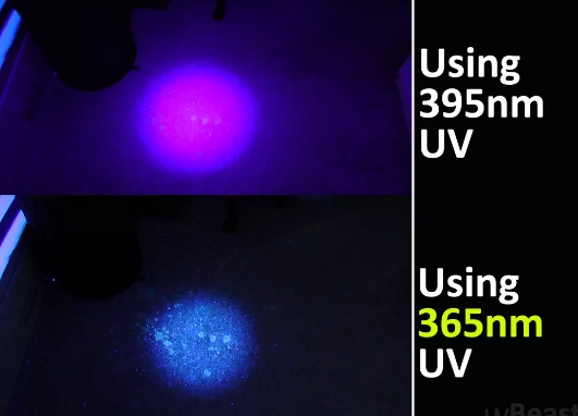 Between 365nm and 395nm Blacklight Flashlights