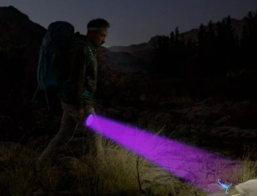 FAQs About Blacklight Flashlights: Everything You Need to Know