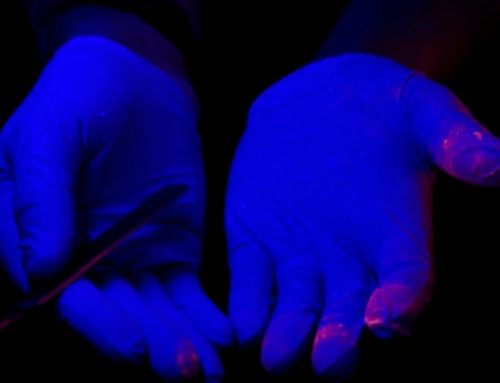 Forensic Applications of Blacklight Flashlights