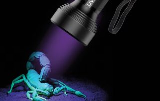 Buy a Black Light Flashlight Near Me