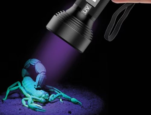 Black Light Flashlight Near Me: A Complete Buying Guide