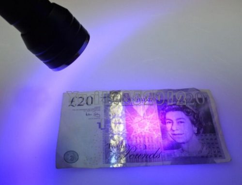 Best Currency UV Light for Small Businesses