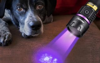 uv blacklight flashlight For Pet Stain and Leak Detection