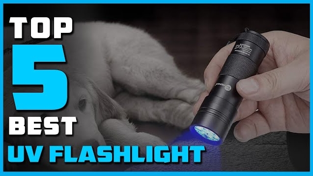 Top Blacklight Flashlights