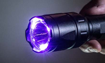 UV Flashlights in Action