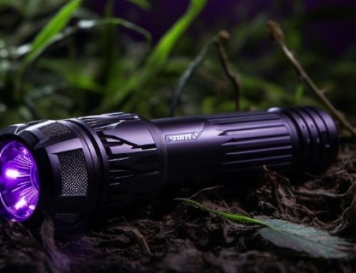 How to Choose the Best UV Flashlight for Minerals