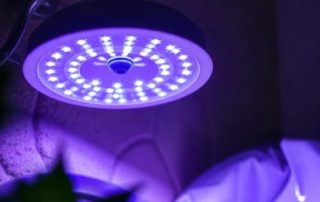 UV light power impacts its ability to illuminate