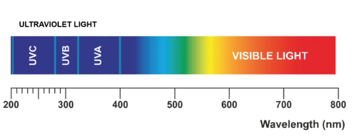 Wavelength Important in Resin Curing