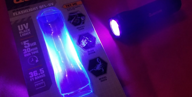 a UV Flashlight Reveal