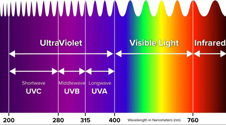 Wavelength of the UV Flashlight