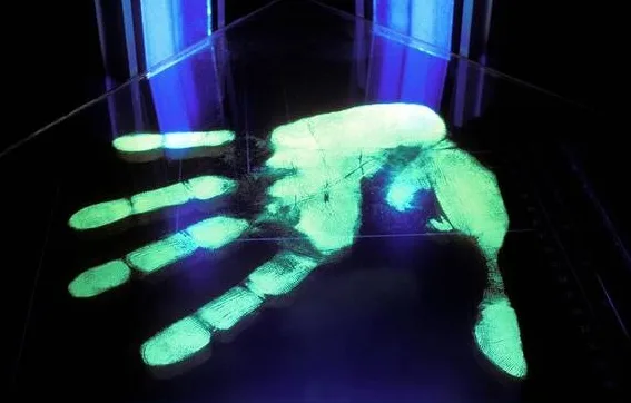 UV Art and Forensic Investigations