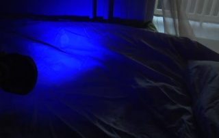 UV Light Detects Bodily Fluids