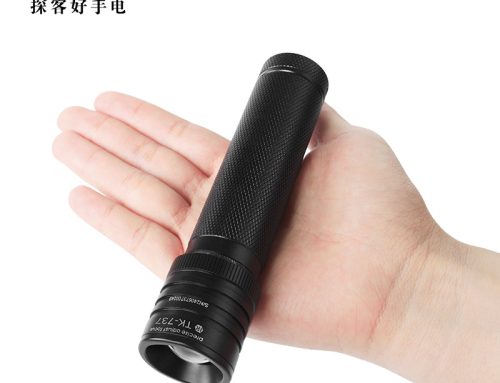 Rechargeable vs Disposable Bulk Flashlights: Pros, Cons, and Best Picks